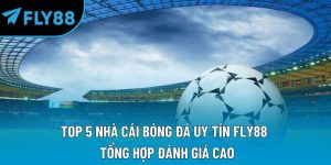 top 5 nhà cái bóng đá