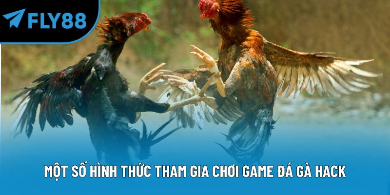 Một số hình thức tham gia chơi game đá gà hack